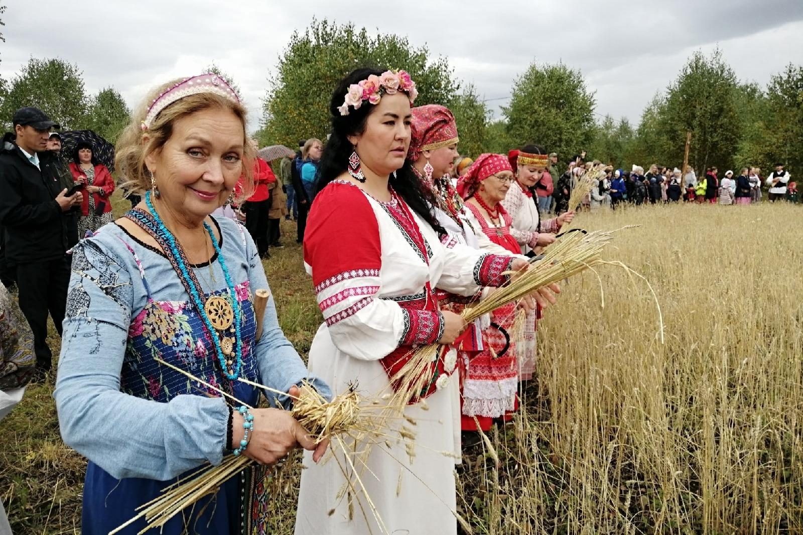 Земледельческая часть проекта «От зерна до каравая» успешно завершилась: проект поддержал ПФКИ