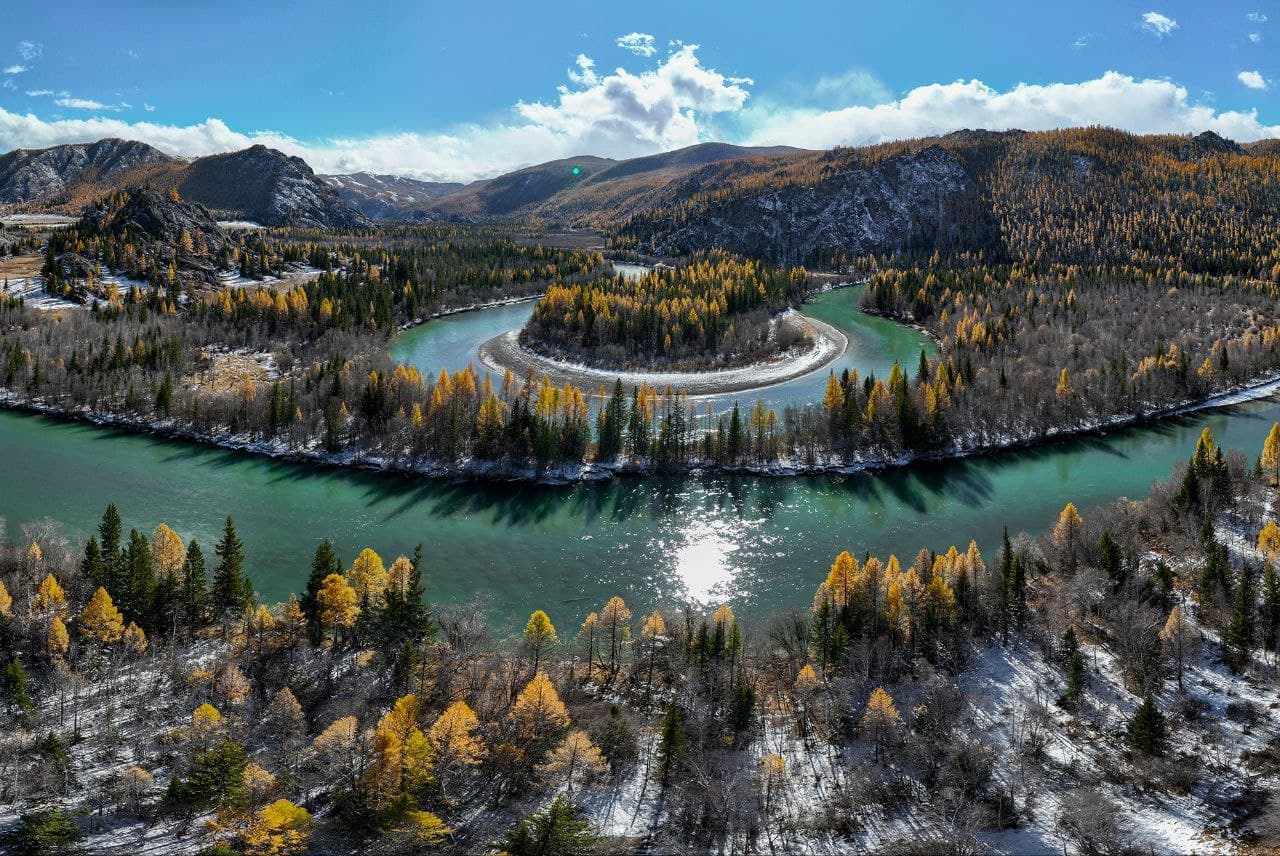 Проектный офис