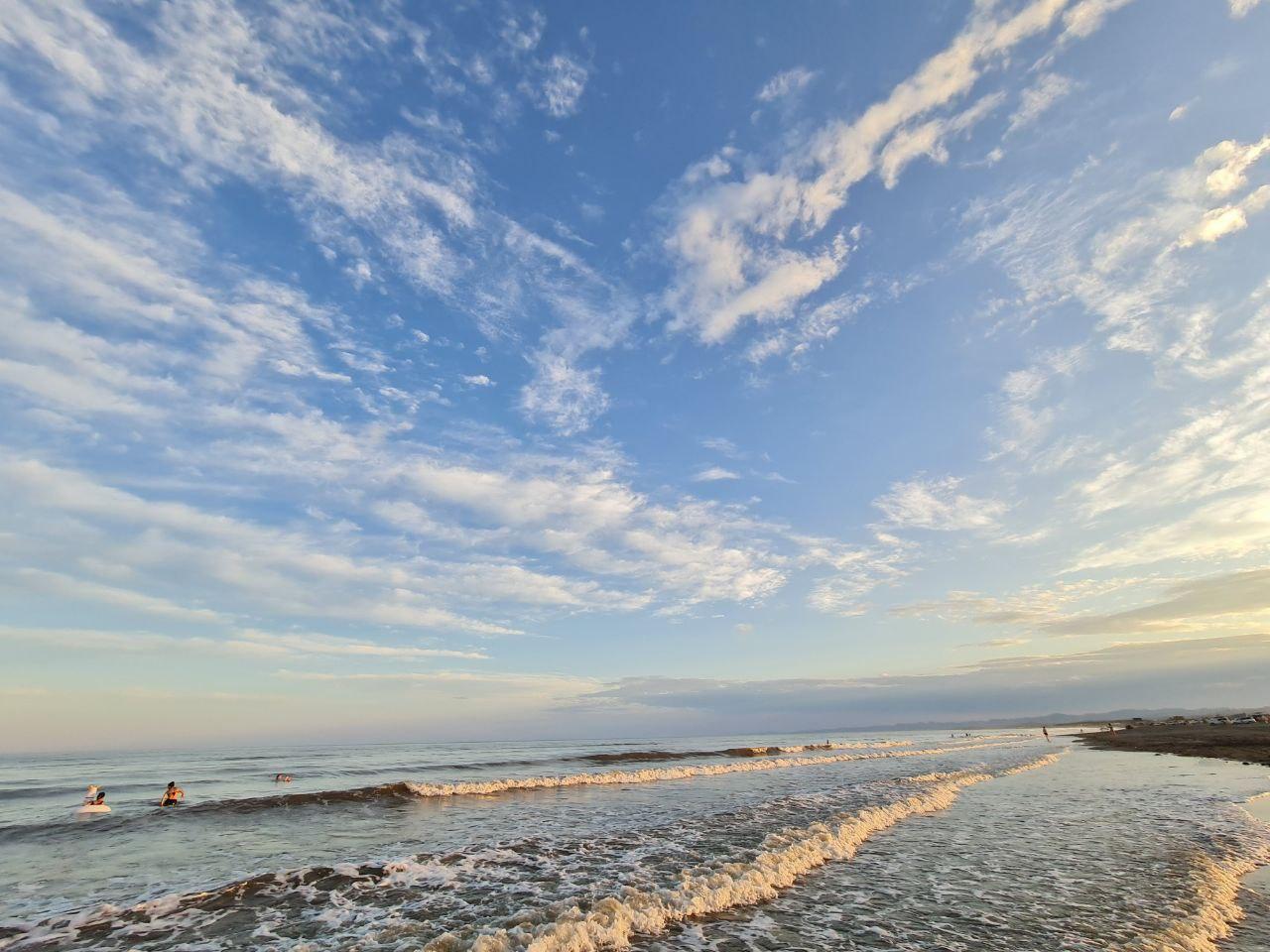 Проектный офис