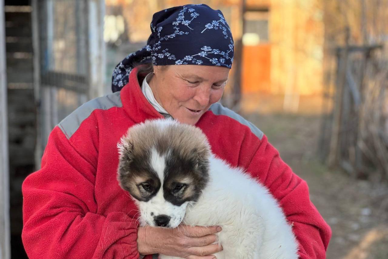 Святой долг: представили четвертую серию цикла документальных фильмов «Русские. XXI век»