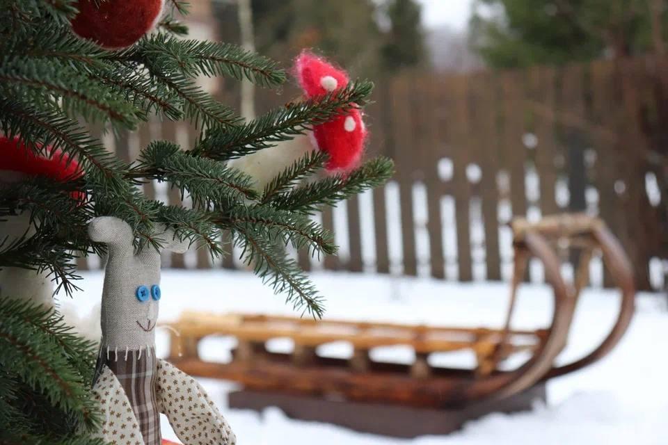 В Калужской области устроили новогоднюю ярмарку и открыли фестиваль старинных саней