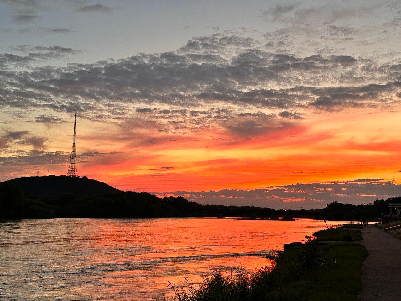 Проектный офис