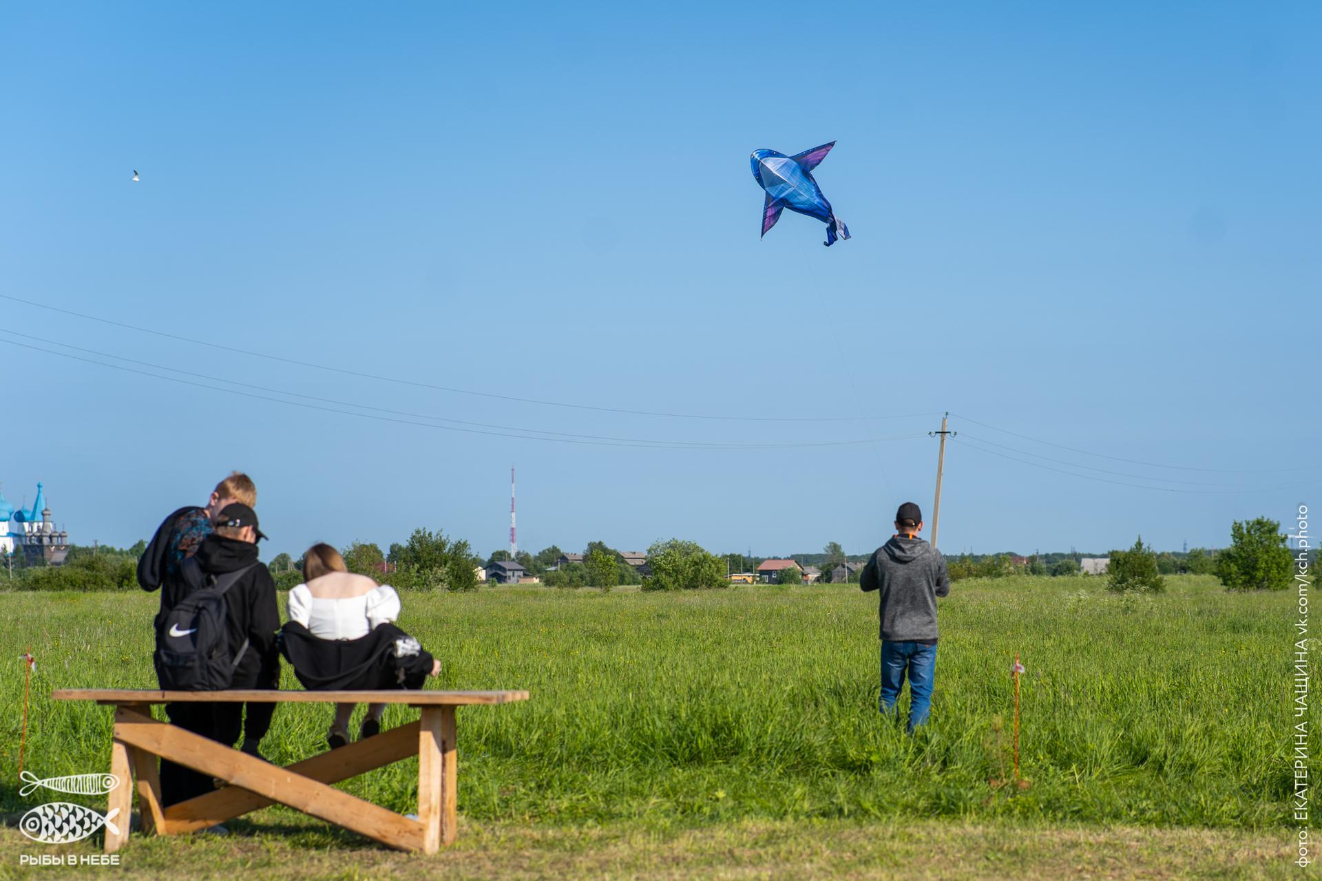 В небе над Архангельской областью летали рыбы