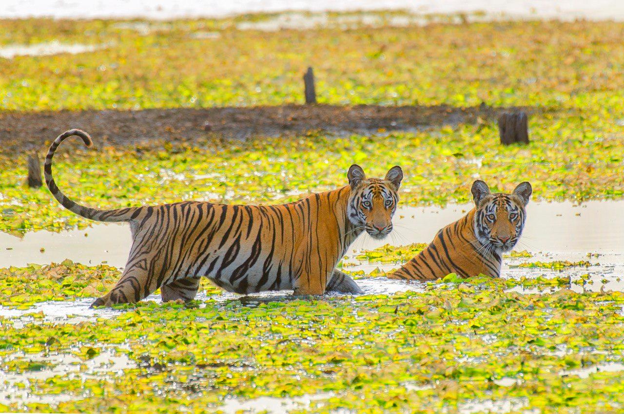 Фотовыставка «Хрустальный компас. Планета героев» откроется в Красной Поляне 8 августа
