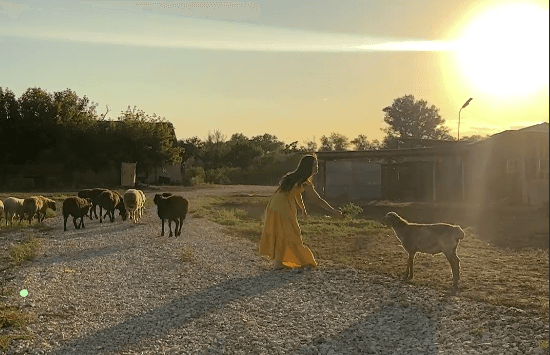 Хроники Музотбора ПФКИ: На старте «Деревенская девчонка» Каролины Моисеенко